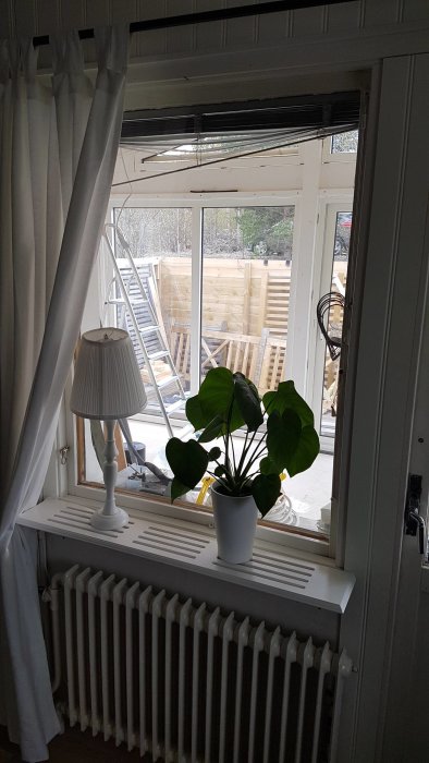 Ett traditionellt fönster med vita gardiner i ett rum med utsikt över en byggarbetsplats, en vit krukväxt i förgrunden och en radiator nedanför.