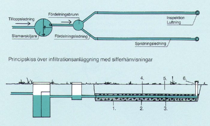 Schematisk bild av infiltrationsanläggning med slamavskiljare, fördelningsbrunn och spridarledningar.