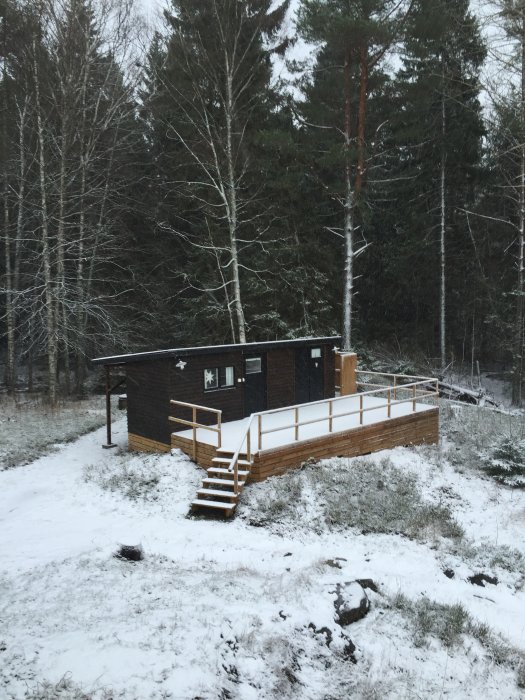 Friliggande hus med altaner och spaljéer i snölandskap, omgivet av skog.