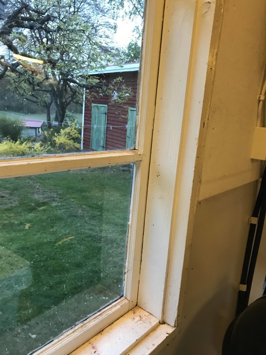 Vy genom ett fönster med enkelglas på ett uthus med två gröna dörrar och trädgård.