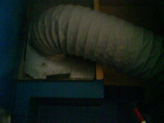 DSC00203.jpg