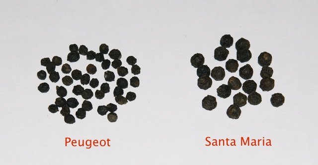 svartpeppar.jpg