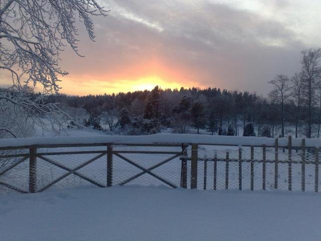 solnedgangvinter.jpg