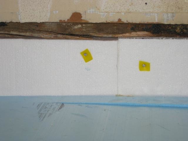 skog 032.jpg