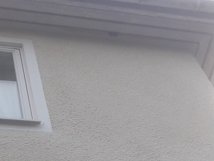 Söndertuggade takfotsbrädor på husfasad som skadats av ekorrar.