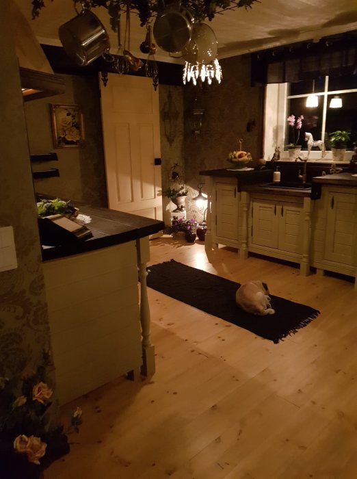 Renoverat kök med country stil inredning och hund som sover på en matta.