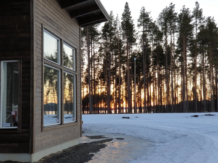 Solnedgång sedd genom träd bakom ett nybyggt hus med reflektioner i fönstren på en snötäckt mark.