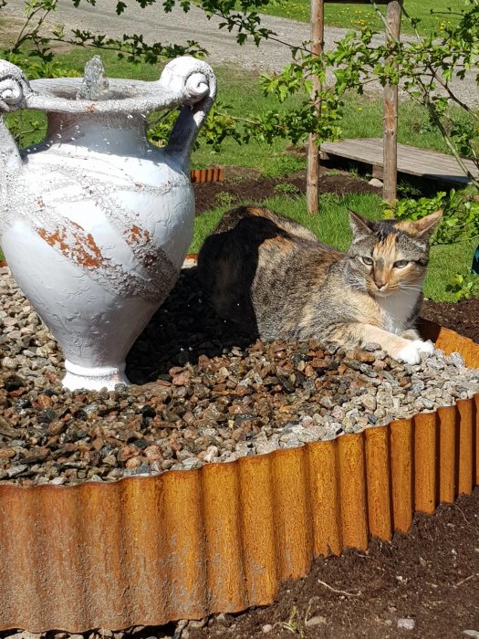 20190511_115243.jpg