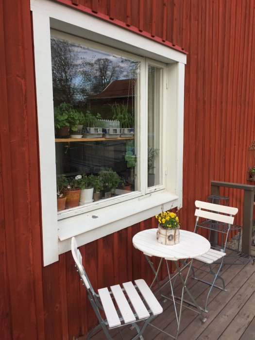 Ett vitmålat enkelglasfönster på en rödmålad träfasad, med blommor i fönstret och en liten utemöbelgrupp framför.