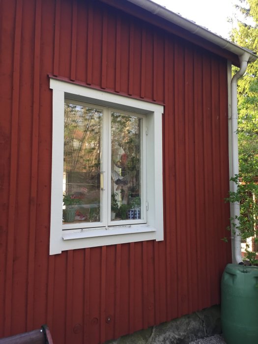Träfönster utan spröjs i vit karm mot röd trävägg på äldre hus från 60-talet.