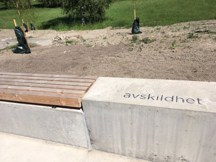 Bild på en träbänk monterad på betongkant, orörda gräs- och grusområden i bakgrunden.