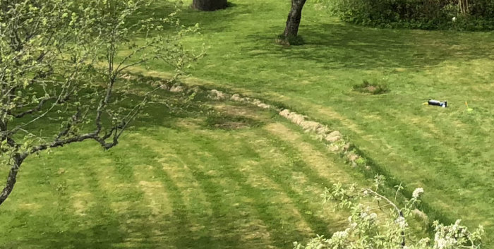 Långt, slingrande dike i en gräsmatta där jordvärme har sjunkit undan på grund av för grunt lagd kollektorslang.