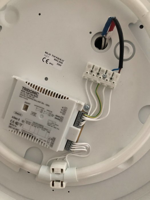 Elektrisk installation i taklampa med öppen anslutningsplint och fem kablar, inklusive N och L, före ändring.