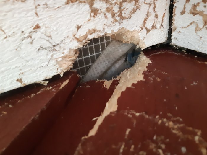 Gnagat hål i trä med nät bakom, spår av ekorre som försökt ta sig in på vinden.