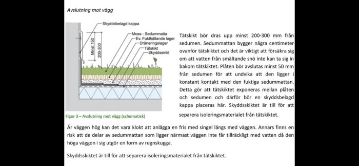 Schematisk illustration av sedumtak som ansluts till en vägg med plåt som skydd en bit upp på väggytan.
