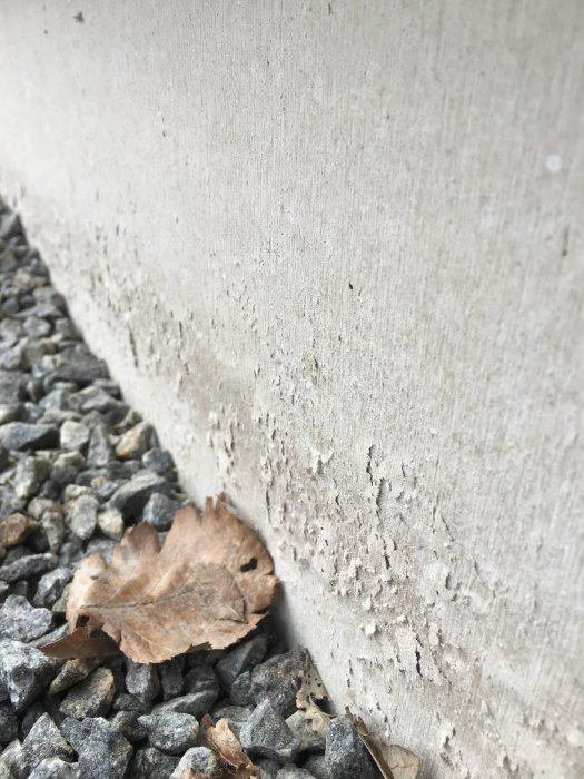 Betonggrund där ytskiktet börjat flagna vid grus och torrt löv.