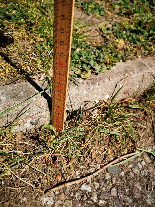 Tumstock som visar nivåskillnad mellan gräs och stenplattor i trädgården.