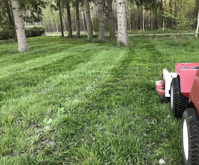 Ojämnt klippt gräsmatta med gräsklippare i förgrunden och träd i bakgrunden.