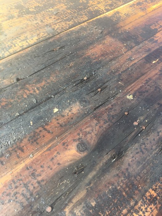 Gamla skadade råspontbrädor med synliga vattenskador och mögel, som ska bytas ut.