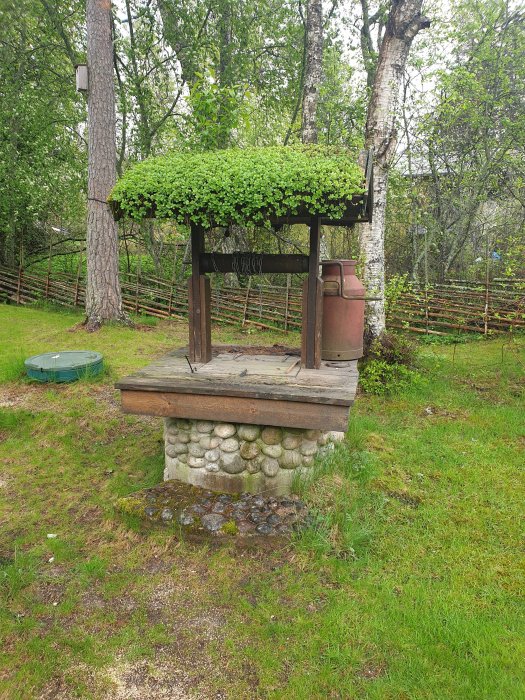 20190519_143251.jpg