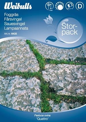 Förpackning av Weibulls Foggräs Fårsvingel med bild av gräs som växer mellan stenplattor.