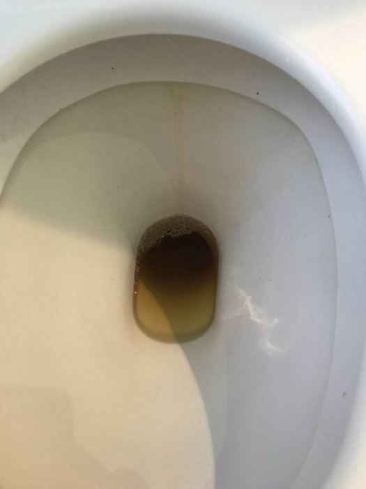 Toalettstol med missfärgat vatten och skumbildning efter backspolning.