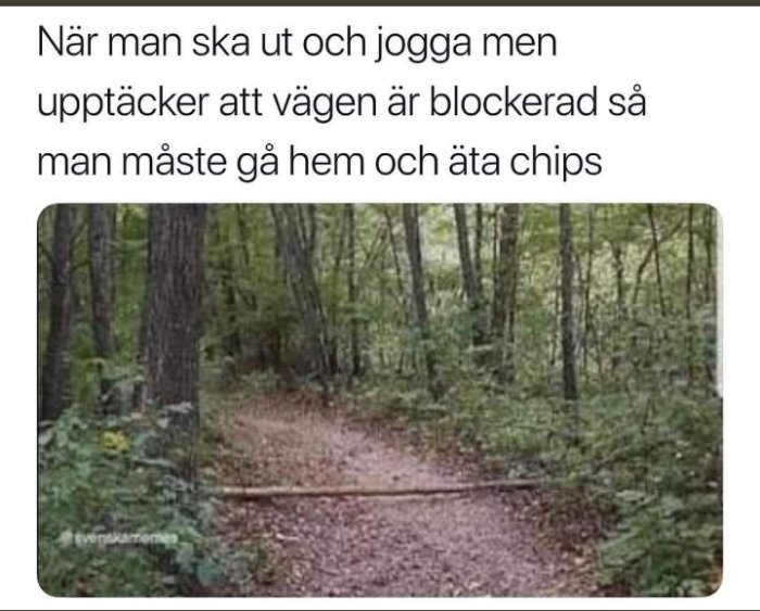 Skogsväg blockerad av fallna trädgrenar med text om avbruten joggingtur och att äta chips istället.