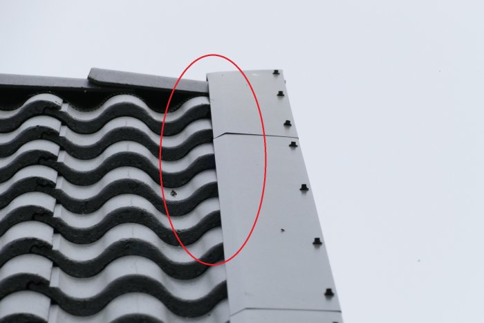 Vattenläckage på tak vid glipa mellan takpannor och vindskiva, röd cirkel markerar problemområdet.