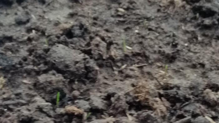 20190524_191331.jpg