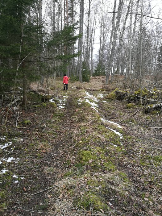 En person står på en övergiven skogsstig med sporadisk snö och mossa, vilket indikerar behovet av upprustning.