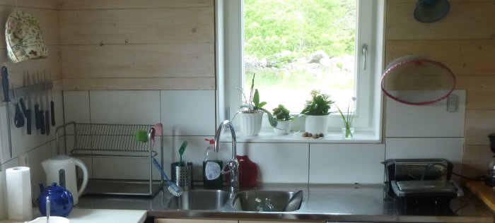 Kök med plåtdiskbänk med upphöjda kanter, fönster med växter, diskställ och köksredskap.