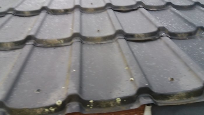 20190527_203110.jpg