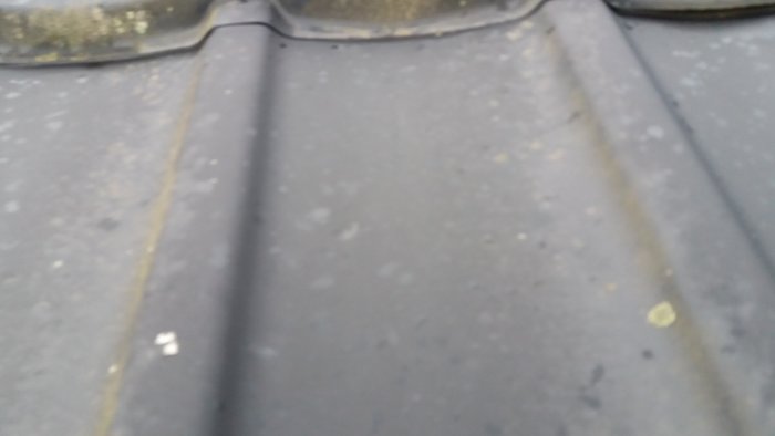 20190527_203057.jpg