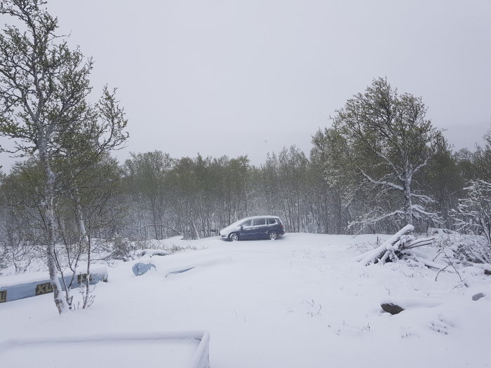 Snöigt landskap med bil parkerad bland träd, verktyg övergivna för vintersport.