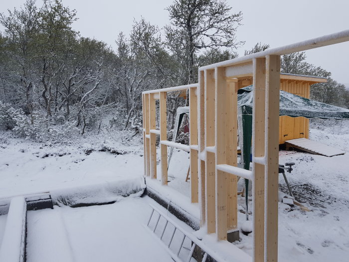 Pågående byggprojekt av trästomme täckt av snö med skog och en byggnad i bakgrunden.