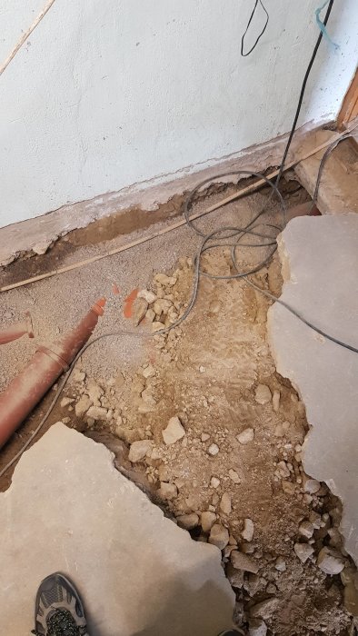 20190414_102725.jpg