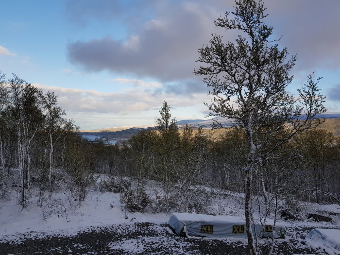 Landskap med snötäckta träd och mark, molnig himmel och en sjö i bakgrunden under försommaren.