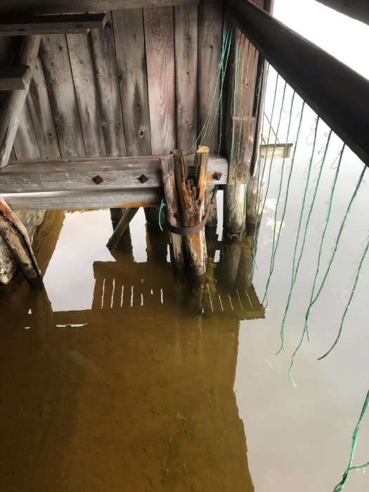 Gjuten plint under en sjöbod ersätter gamla träpålar, vid vatten med reflektioner av sjöbod och gröna rep.