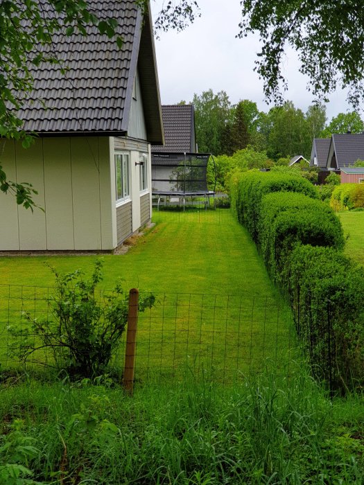 Grön, välklippt gräsmatta i U-form runtomkring ett hus, med en bred gång och minimala hinder.