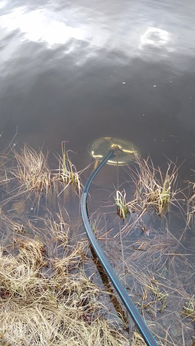 En bottenventil i klart sjövatten med en slang som leder till torrt gräs på strandkanten, ventilen placerad 20cm från botten.