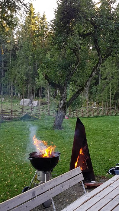 Grill fylld med brinnande kottar på en gräsmatta med en trädgård och skog i bakgrunden.
