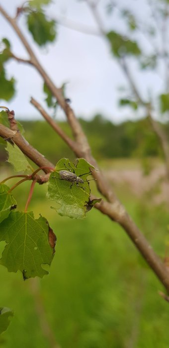 20190602_180043.jpg