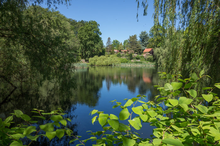 En idyllisk trädgårdsdamm i Louisiana, Humlebæk, omgiven av grönska och reflektioner i vattnet.