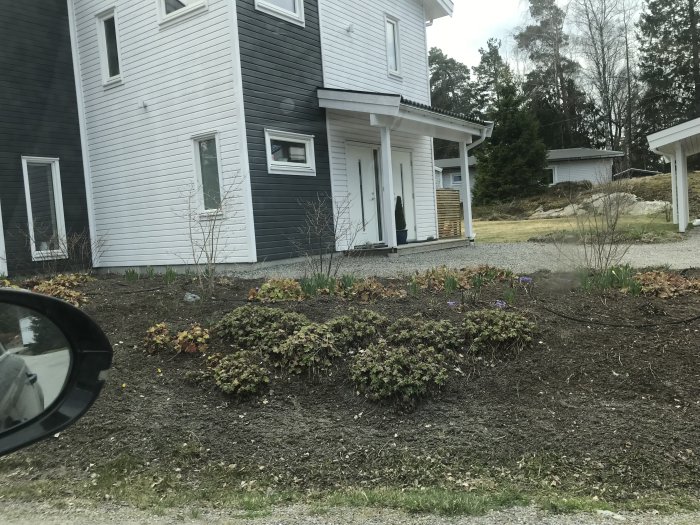 Vit husfasad med ett befintligt vitt entretak över dörren, omgivet av en trädgård och växtlighet.