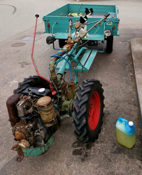 Gammal traktor med släp där två hundar sitter, bredvid en dunk med sköljmedel.