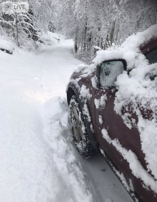 Bil fast i djup snö på en brant backe med snötäckta träd i bakgrunden.