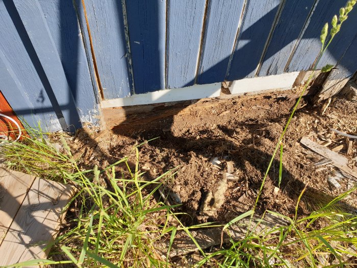 Murken träbalk vid husgrund med synlig skada, nära en blå panel och gräs i förgrunden.