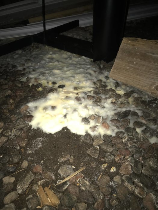 Grusgrund under hus med misstänkt hussvamp: vit, svampaktig beläggning på marken.