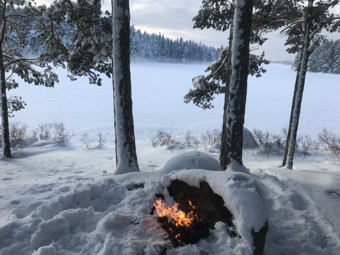 En kolgrill täckt med snö i ett skogsglänta framför ett snötäckt landskap och tallar.