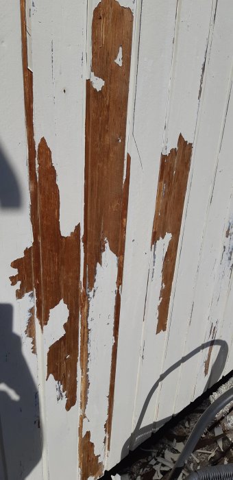 Väggpanel med flagnande vit målfärg och synligt träverk, tecken på fuktskador och behov av ommålning.